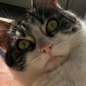 Meet your Posher, Katelyn